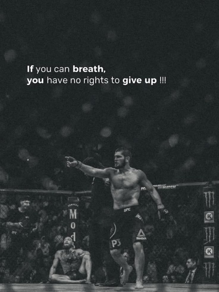 Falcon Mindset tweet media