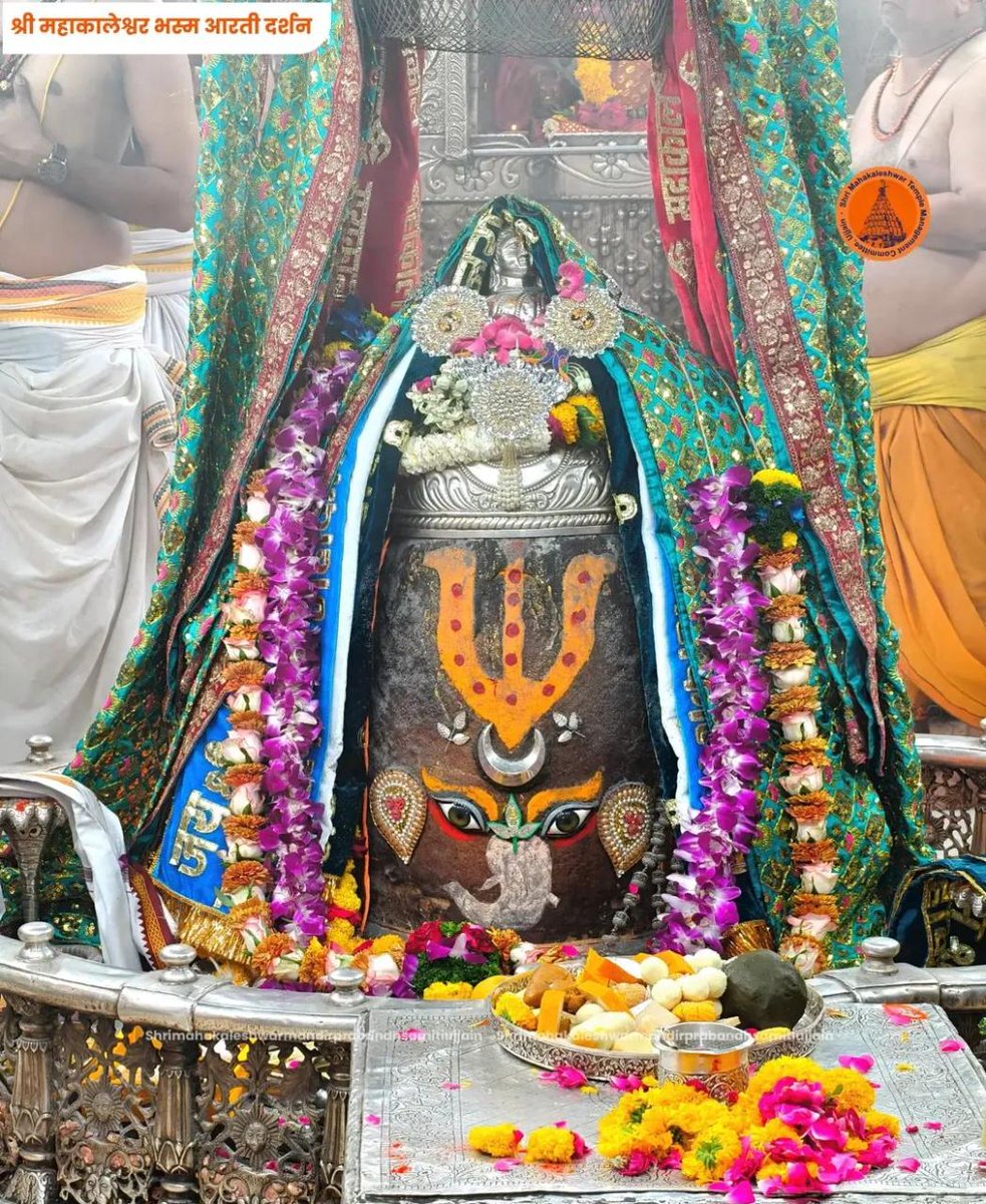 🙏 PRADHAN JI🌹 tweet media