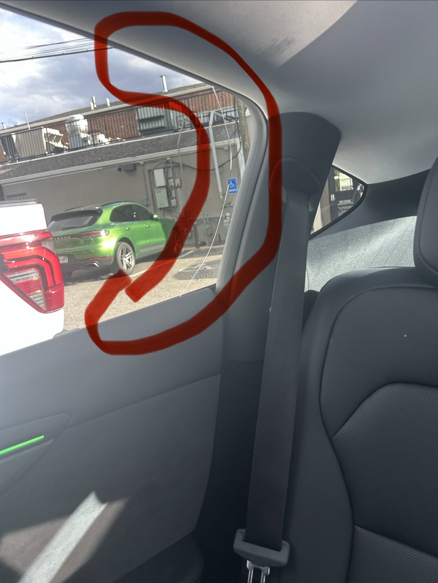 Swamp Donkey tweet media