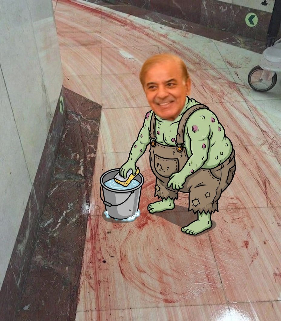 کوکب خانم tweet media