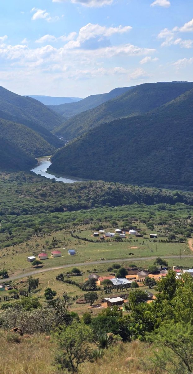 Kubuzakoni Mbuh Ngubane eMsingaTop☺️ tweet media