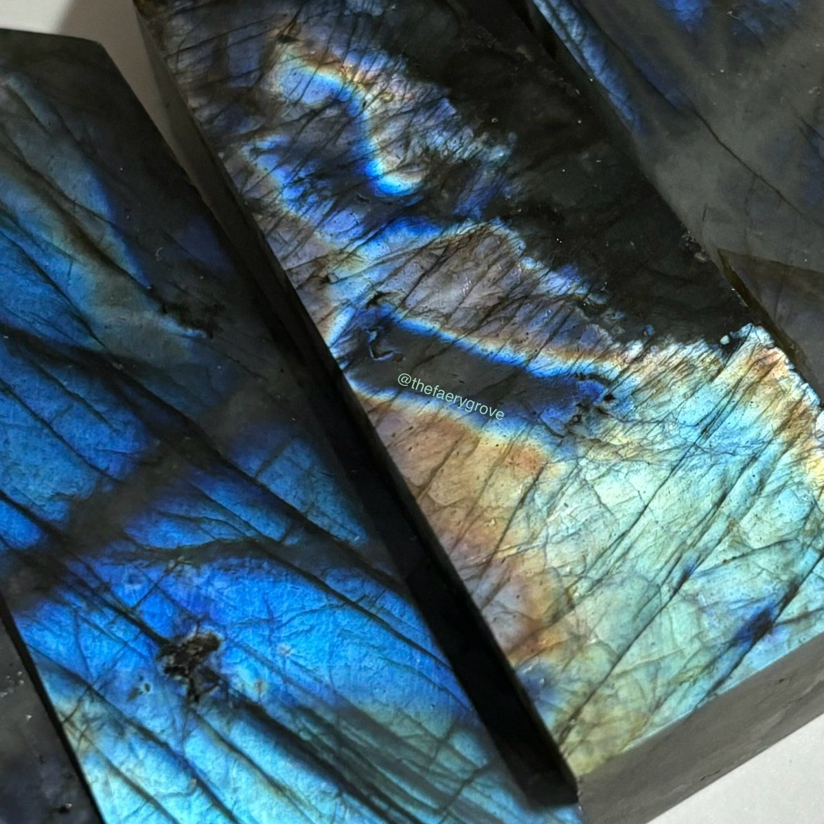 The Faery Grove 🫧 tweet media