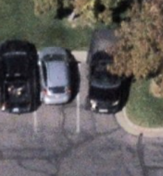 Project Constitution tweet media