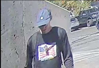 Project Constitution tweet media