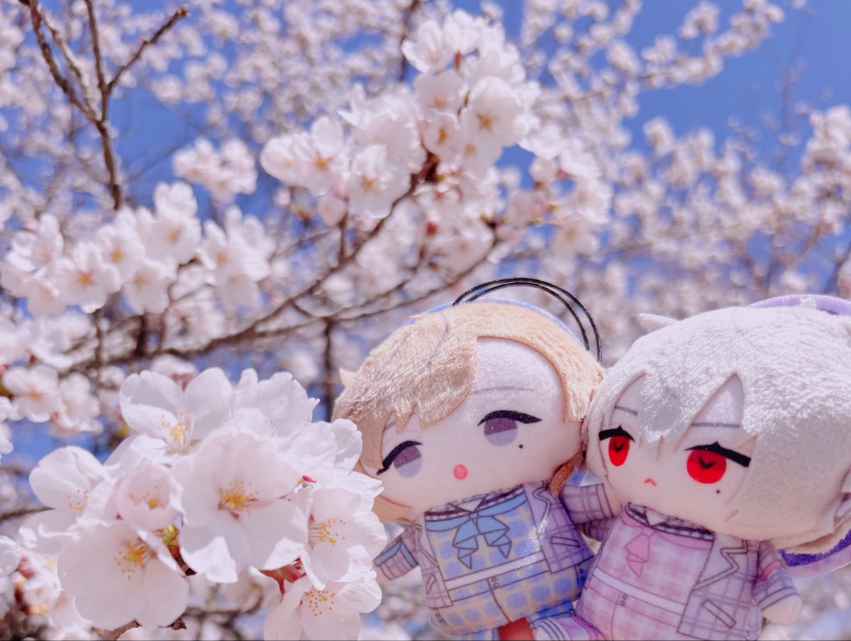 がおち tweet media