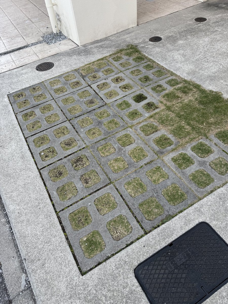 かいばらゆうざん tweet media