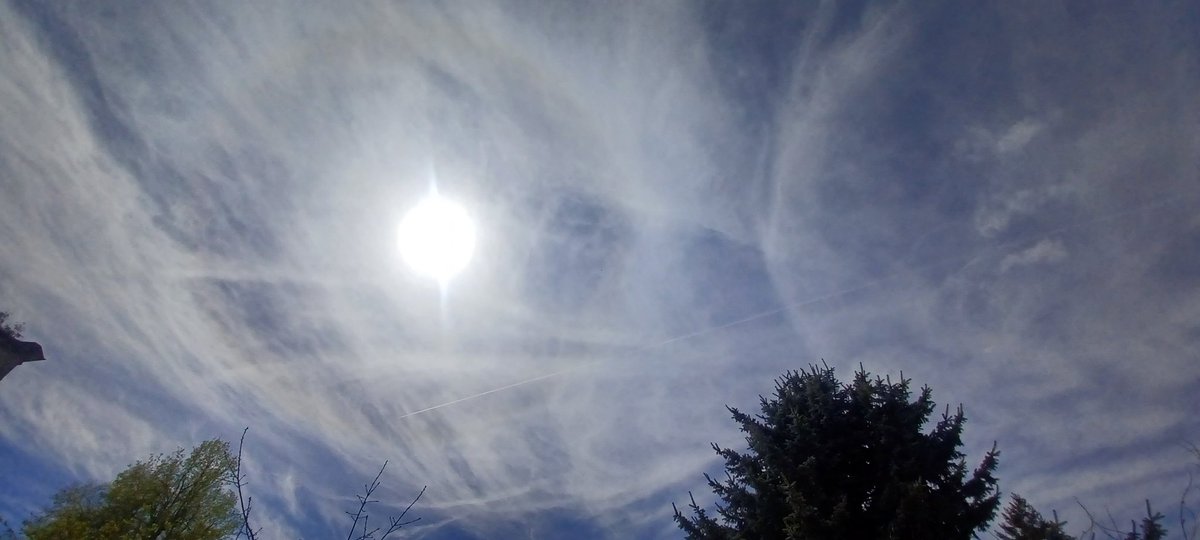 Tara Lynn 4444 tweet media