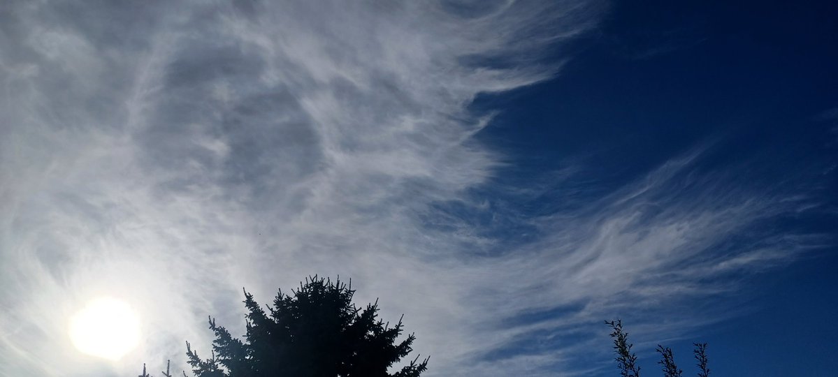 Tara Lynn 4444 tweet media