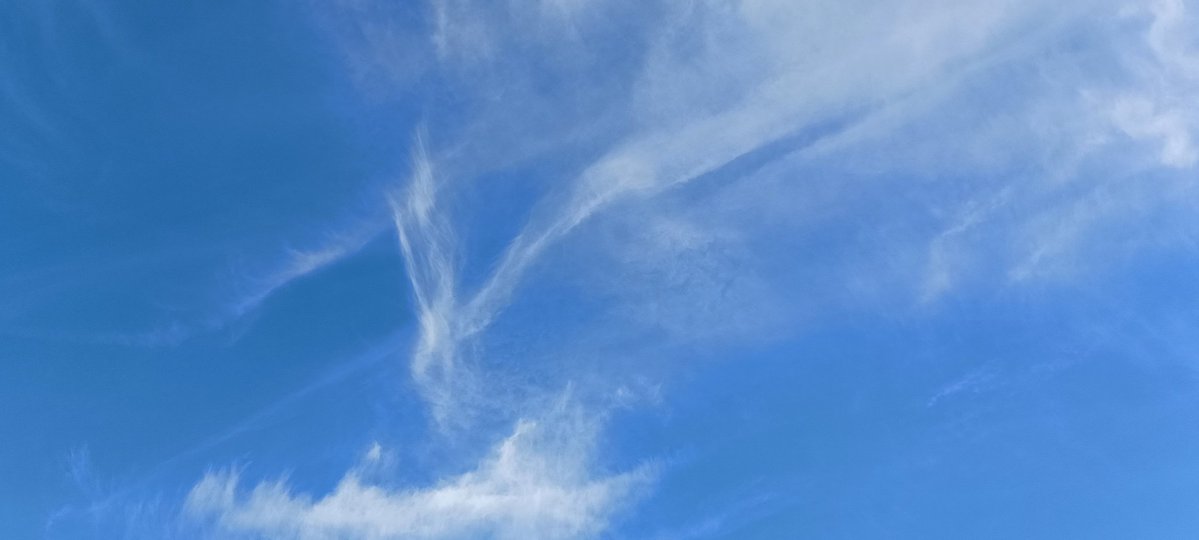 Tara Lynn 4444 tweet media