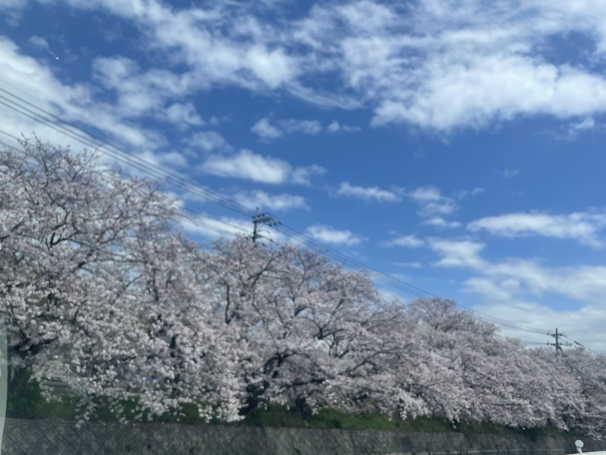 hiro13571414's tweet photo. また来年も
綺麗に咲いてください。

世界が平和でありますように https://t.co/F2NlBn3Qx8