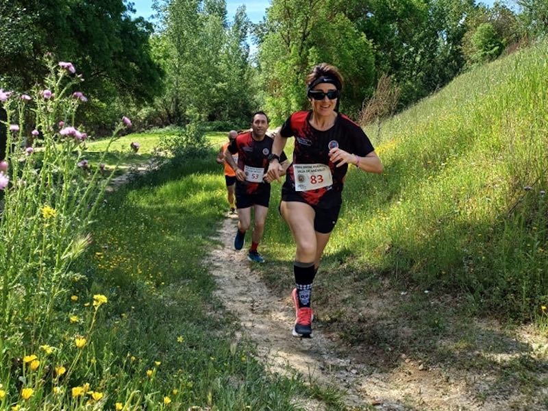 deportesavila's tweet image. 🏃 #Atletismo 
🟢 Naturaleza, deporte y convivencia en el V #Trail Entre Puentes de #Arévalo 
deportesavila.es/naturaleza-dep…
