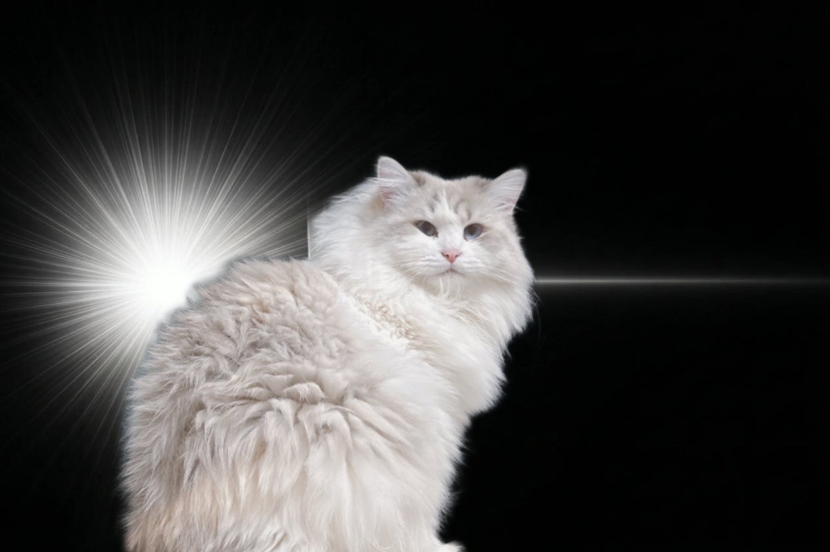 𝒏𝒂𝒐🛸 tweet media