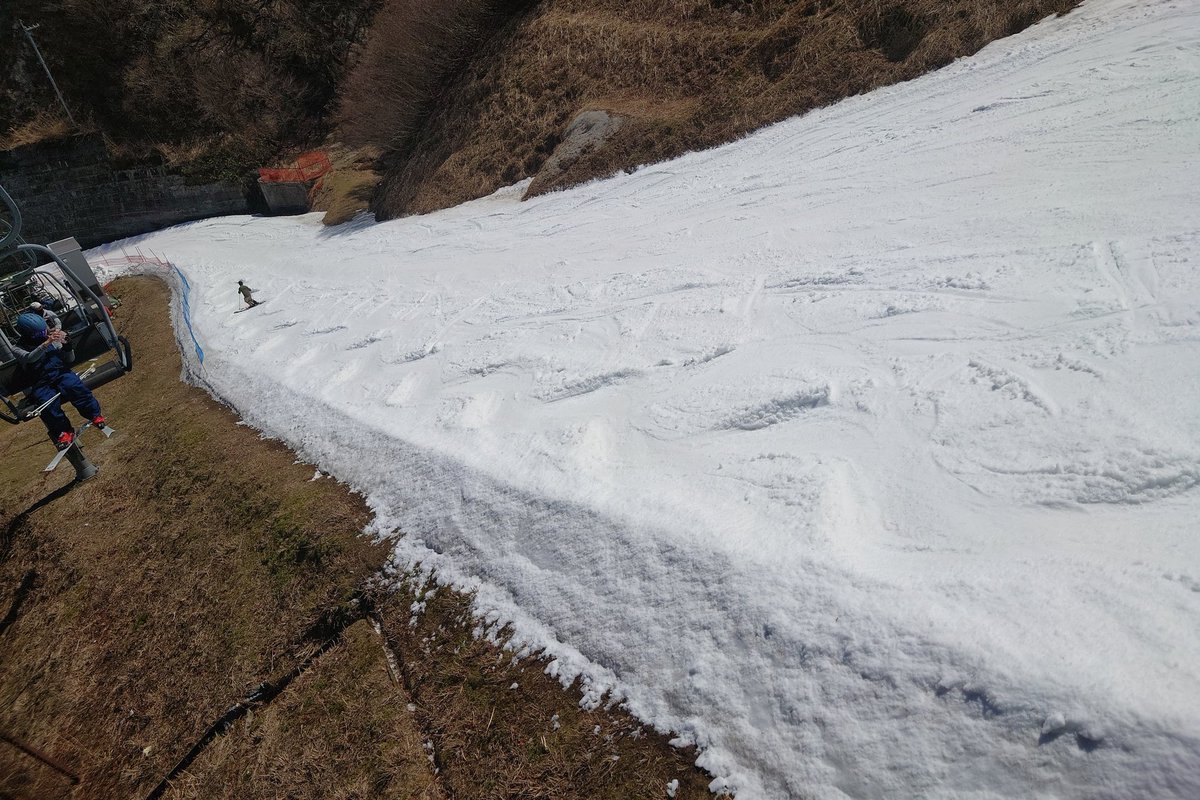 らっきょ君 tweet media