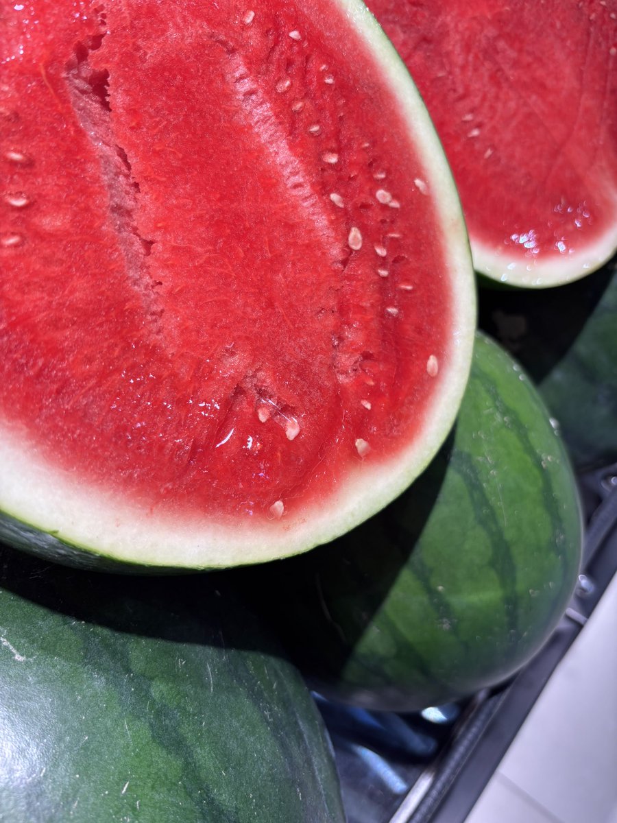 ɐɹpuǝɹoıp tweet media