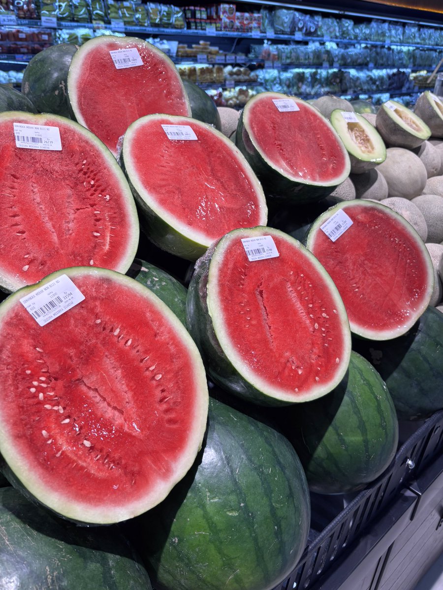 ɐɹpuǝɹoıp tweet media