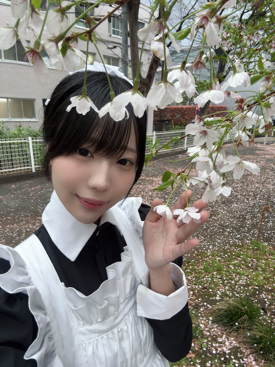 しらべ@ワンダーパーラー tweet media