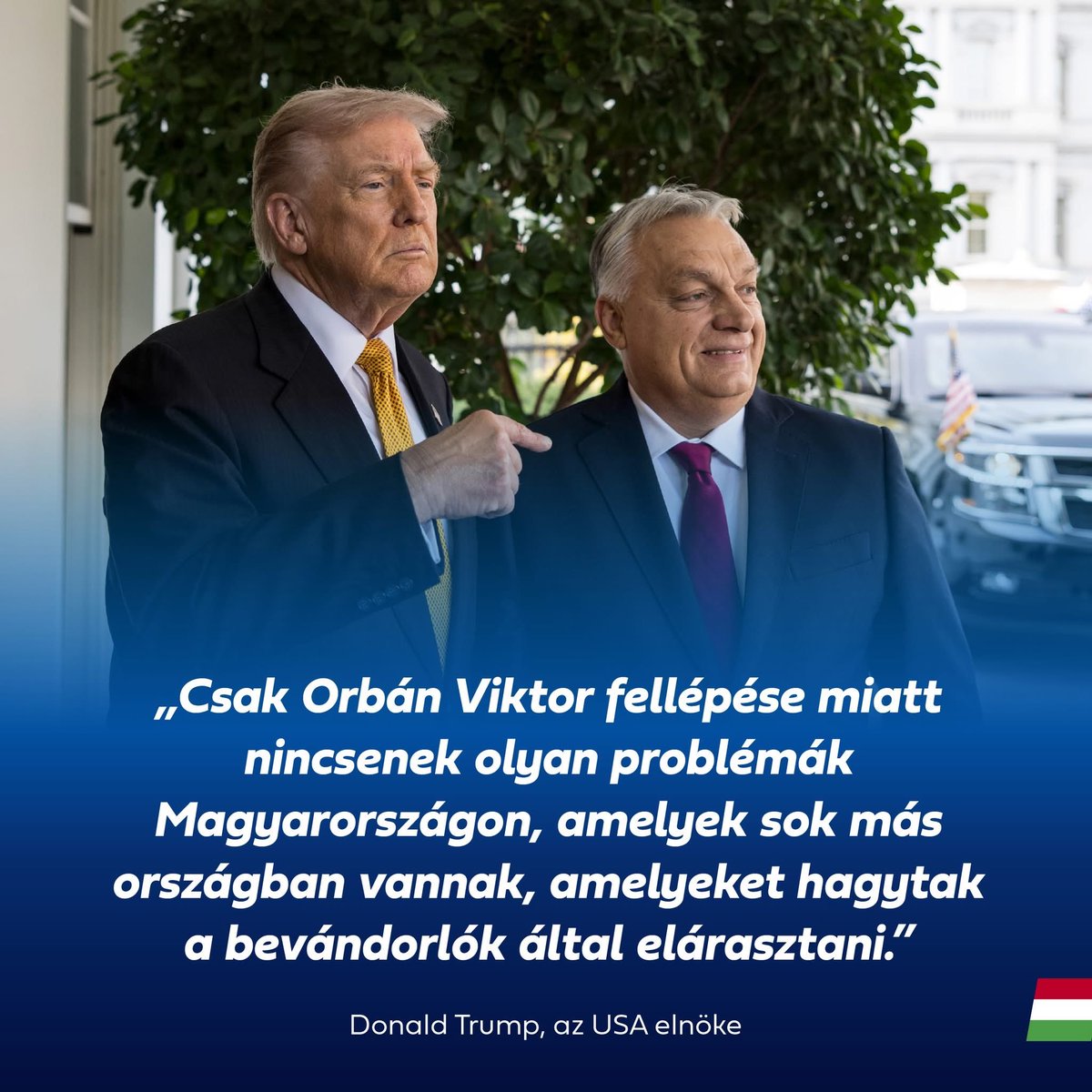 Böjte Balázs tweet media