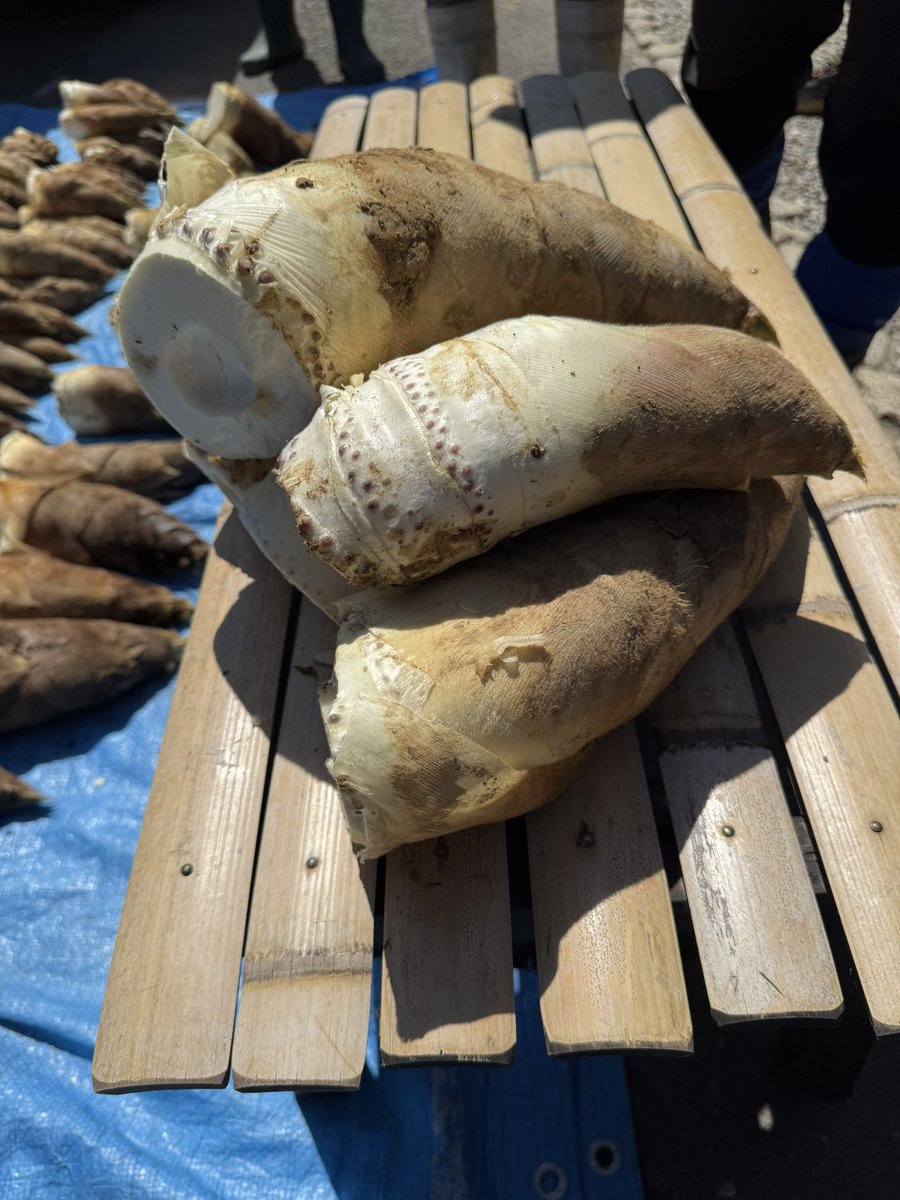 キムたこDIY@大家×会社員 tweet media