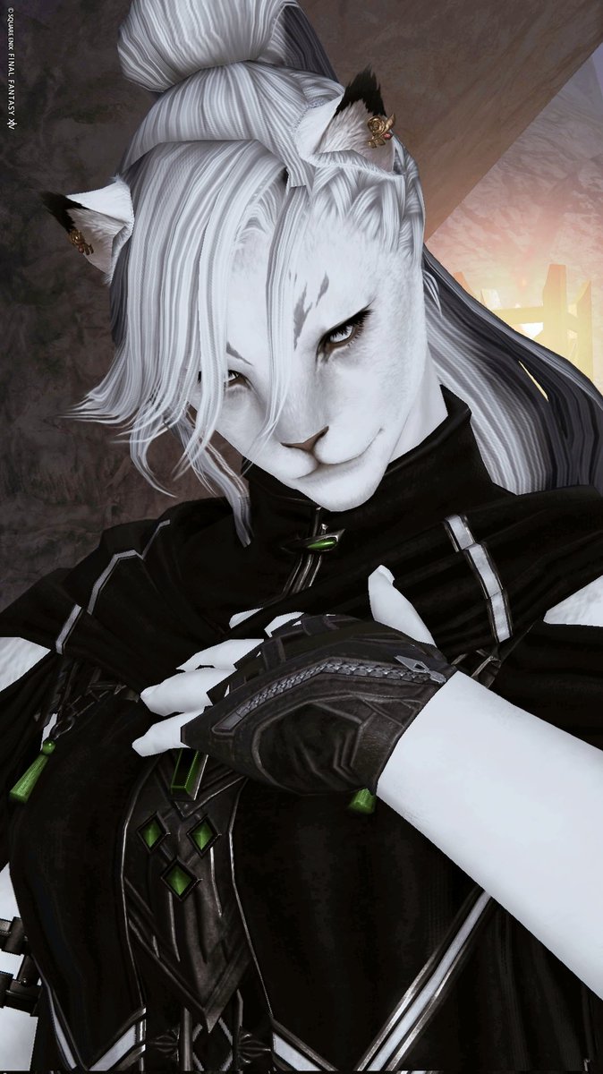 𝒇𝒓𝒐𝒛𝒆 tweet media