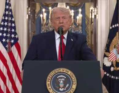 魔都老猿 tweet media