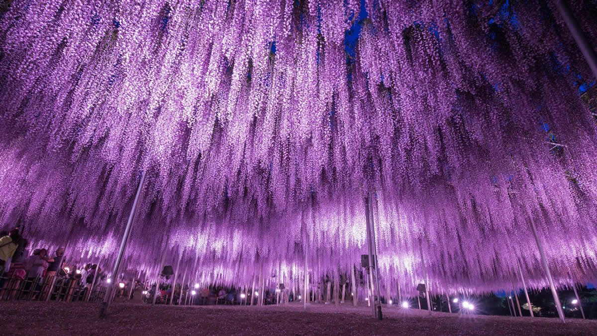 イベントチェッカー製作委員会 tweet media