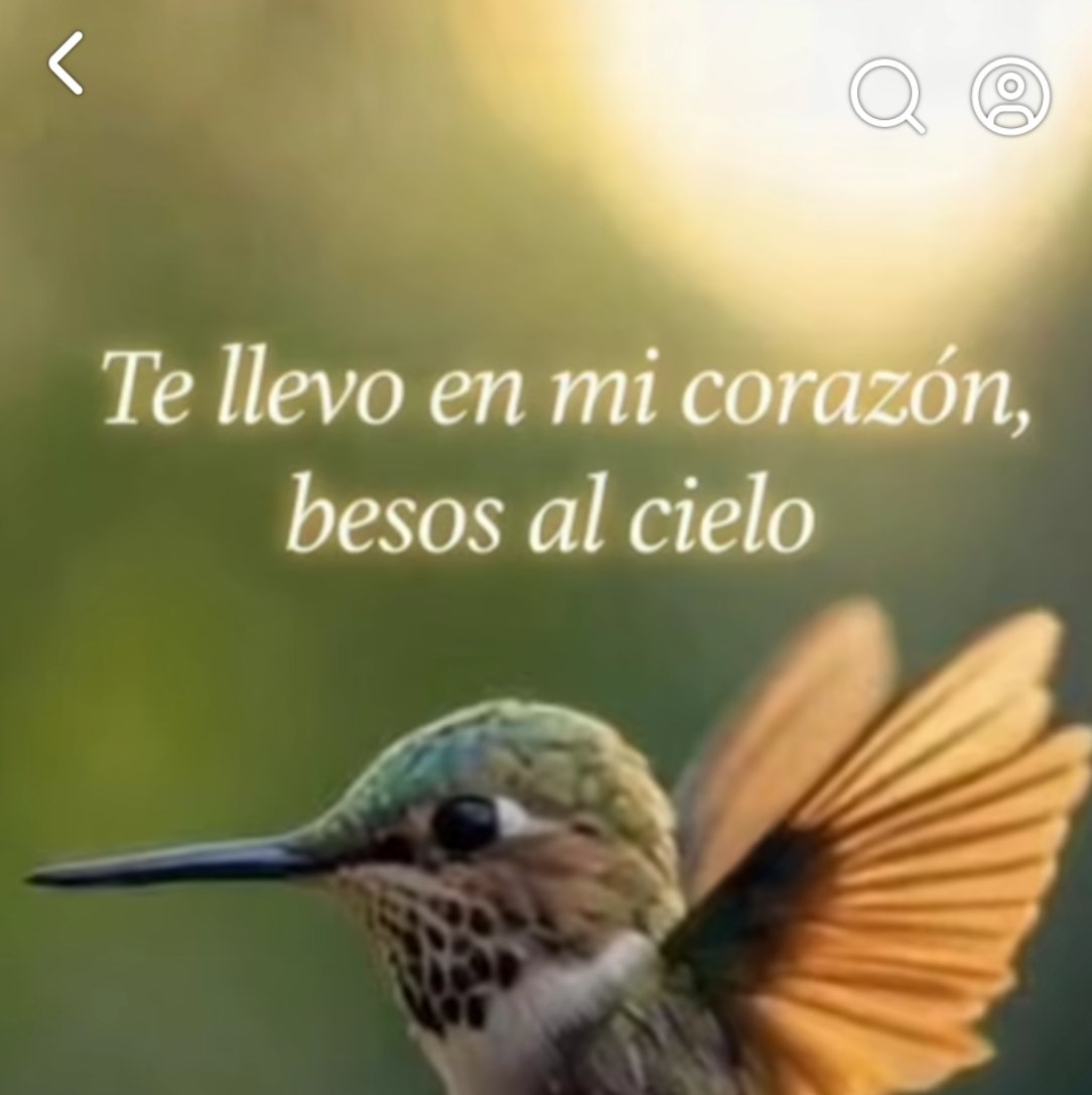 cecil Roma tweet media