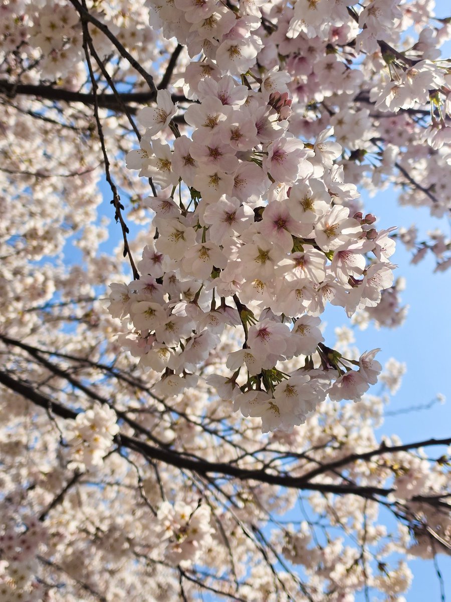 크리💎 tweet media