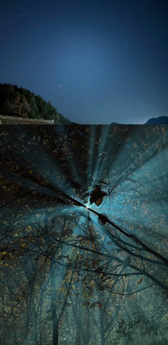 Patrick JPFC 🇯🇵 tweet media