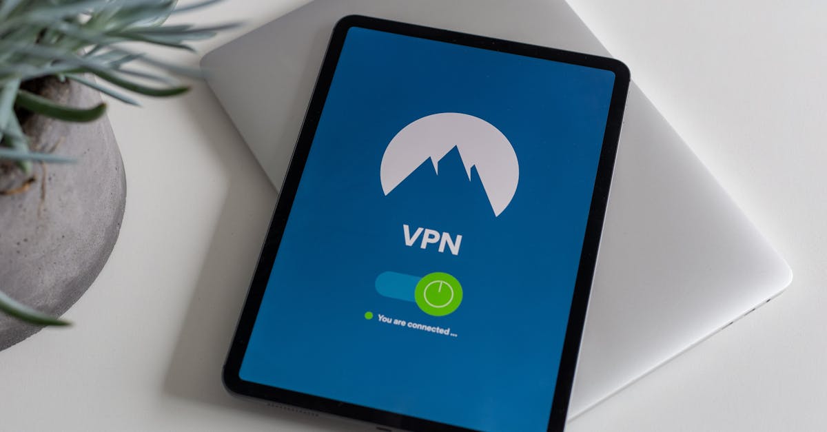 Corobo11's tweet photo. Nothing beats the peace of mind that comes with knowing your memories and important files are securely backed up. Technology keeps advancing, and so do our methods to ensure what matters most is protected.  Discover the convenience of cloud backups! 
https://t.co/eeeloZuqfj 💻🔒 

#DigitalSecurity #CloudBackup #GotBackUp #PeaceOfMind #Technology