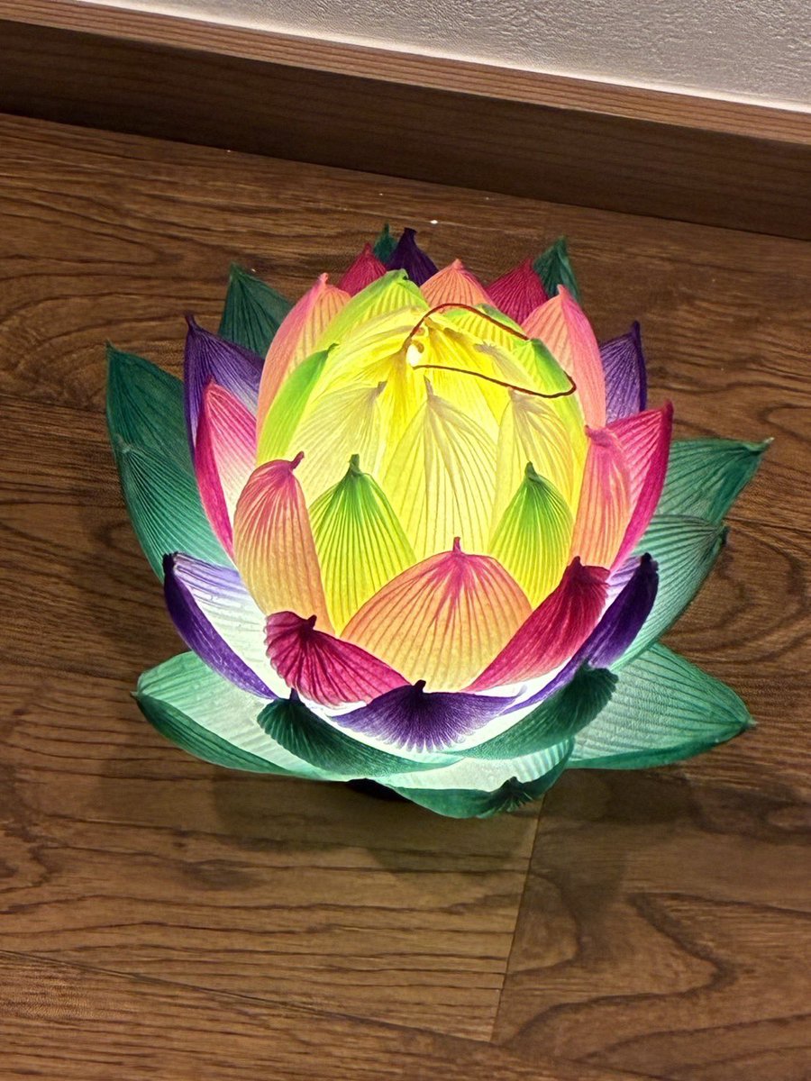 JoetsuMeika's tweet photo. -瀧本邸-
高田城址公園の桜が満開になりました。
「風、薫る」も始まりました。
当家の近況です。
当家フォーラムの見学会の模様、離れ懐徳邸の襖の中紙を眺めるNHKの方、5月の一斉公開の時に講習する、蓮のランタン制作(費用2000円、事前連絡不要)

ランタン制作は5月9日、10日
両日行います。 https://t.co/Z2XUjsjxwi