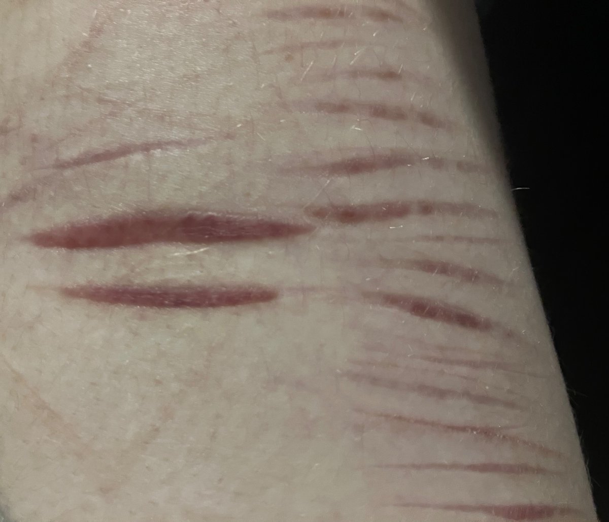 Tord of SHEDtwt | DNI PROSHIP tweet media