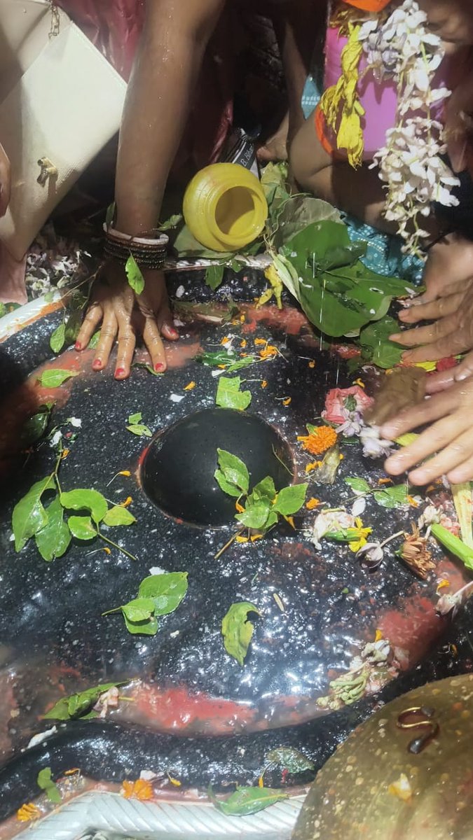 Avinash Singh Bulbul(मोदी का परिवार) tweet media