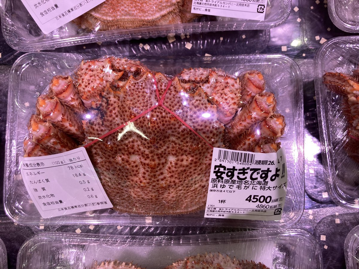 noki shun tweet media