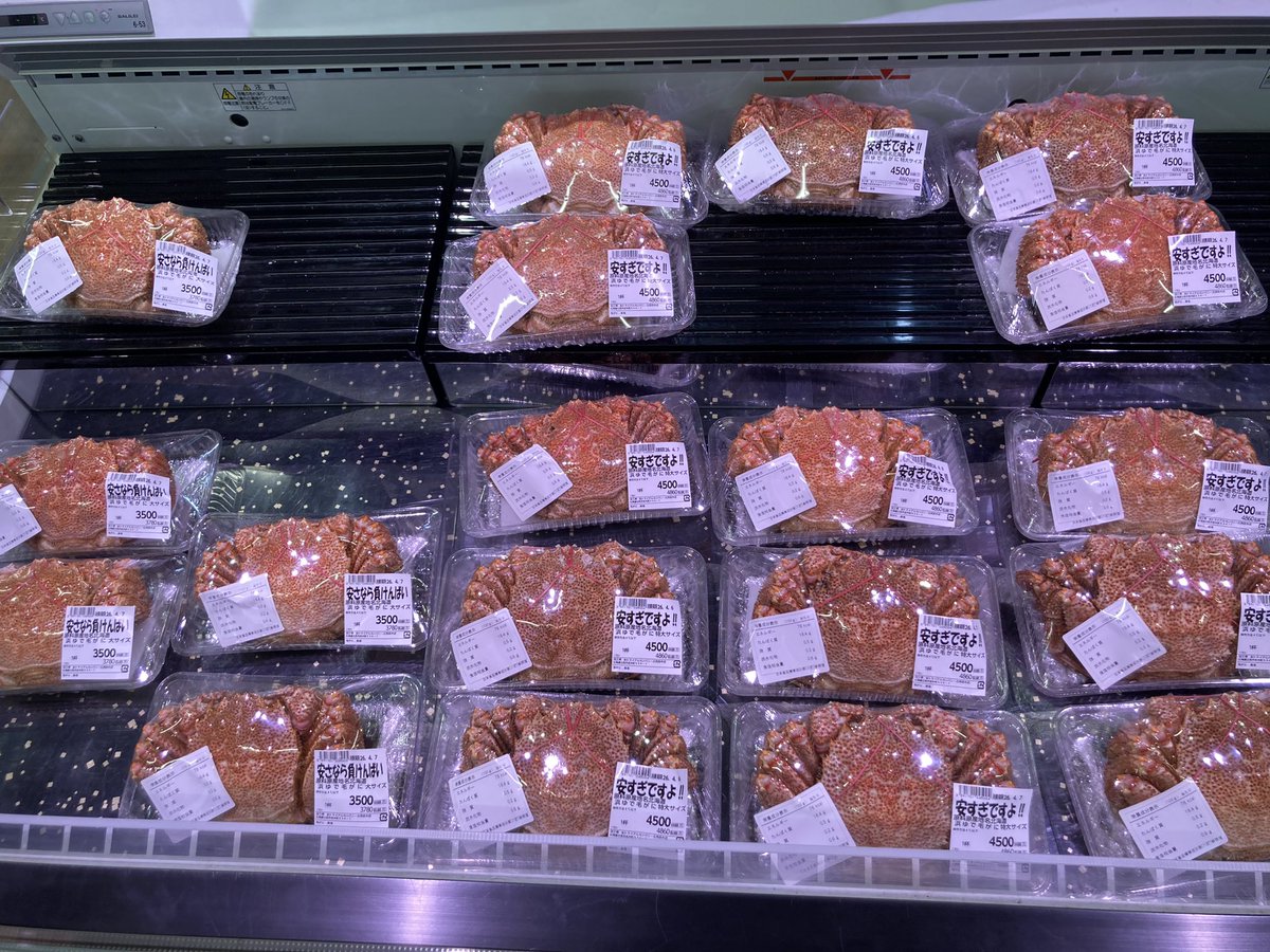 noki shun tweet media