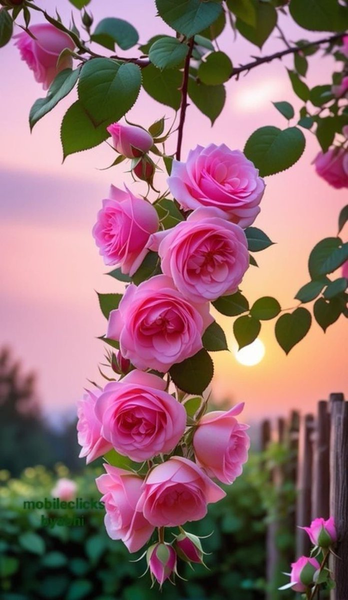 Елена Гуревич - Elena tweet media