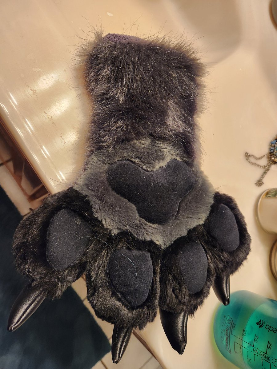 Ashes Wolf tweet media