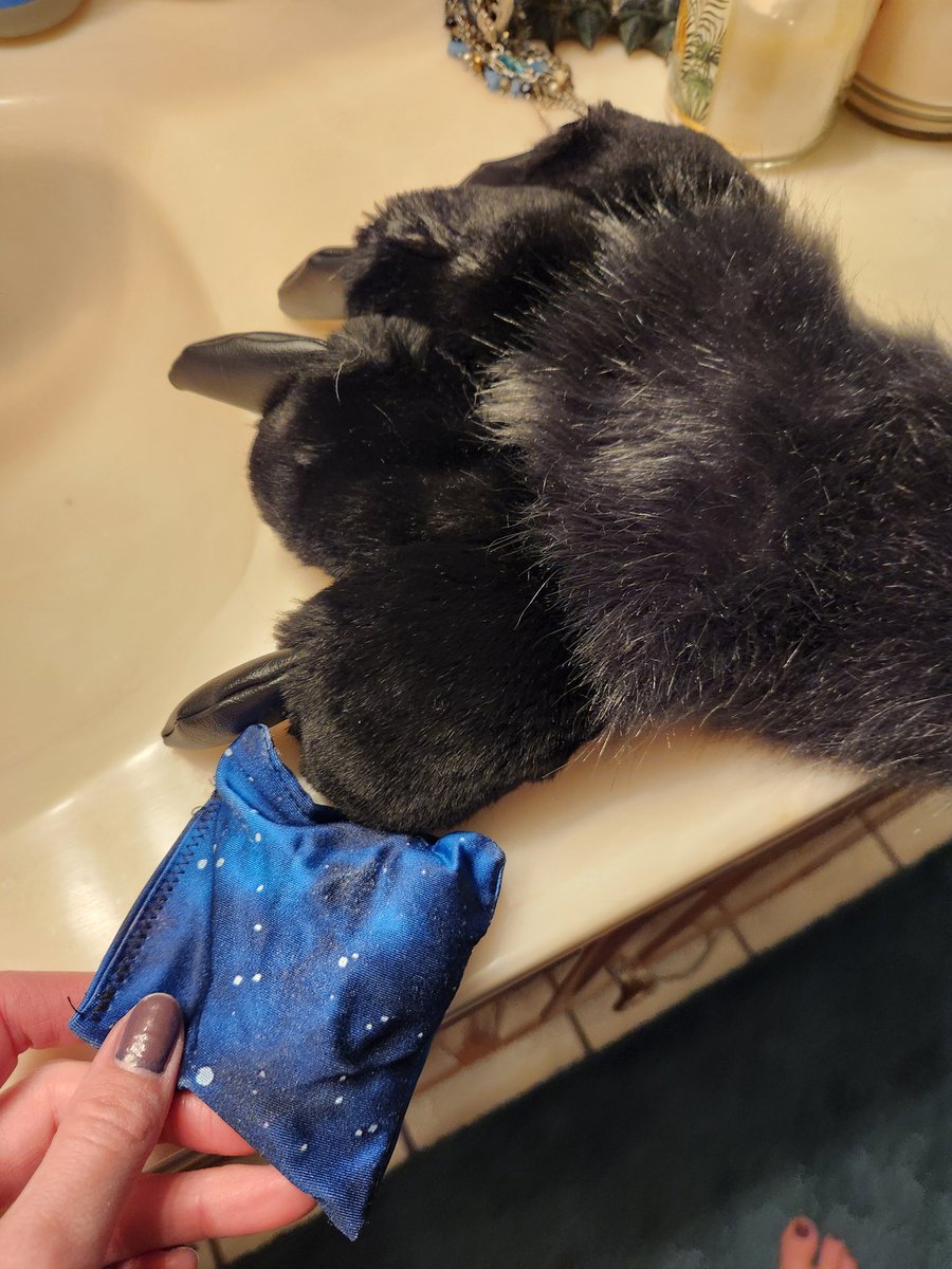 Ashes Wolf tweet media