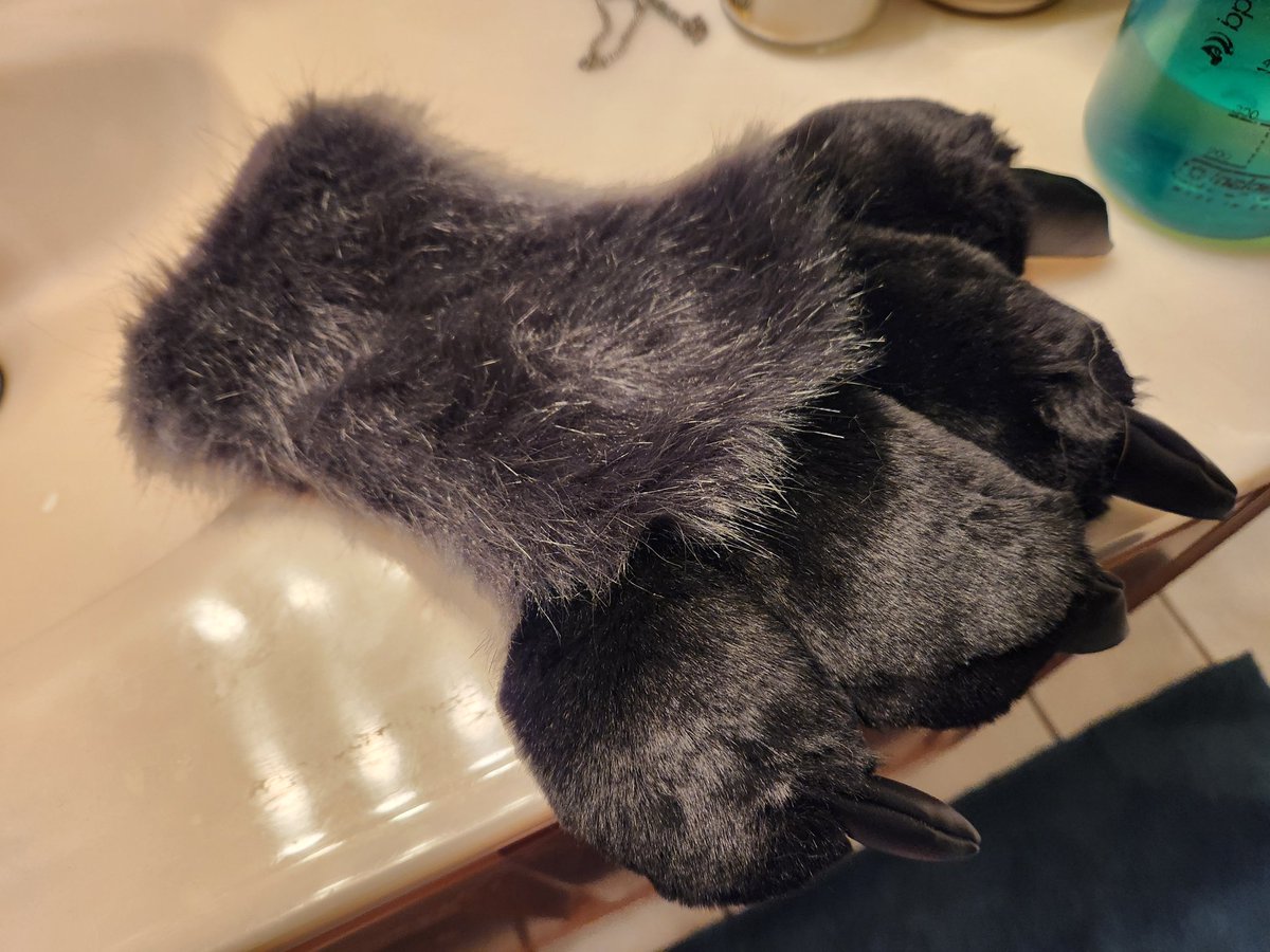 Ashes Wolf tweet media