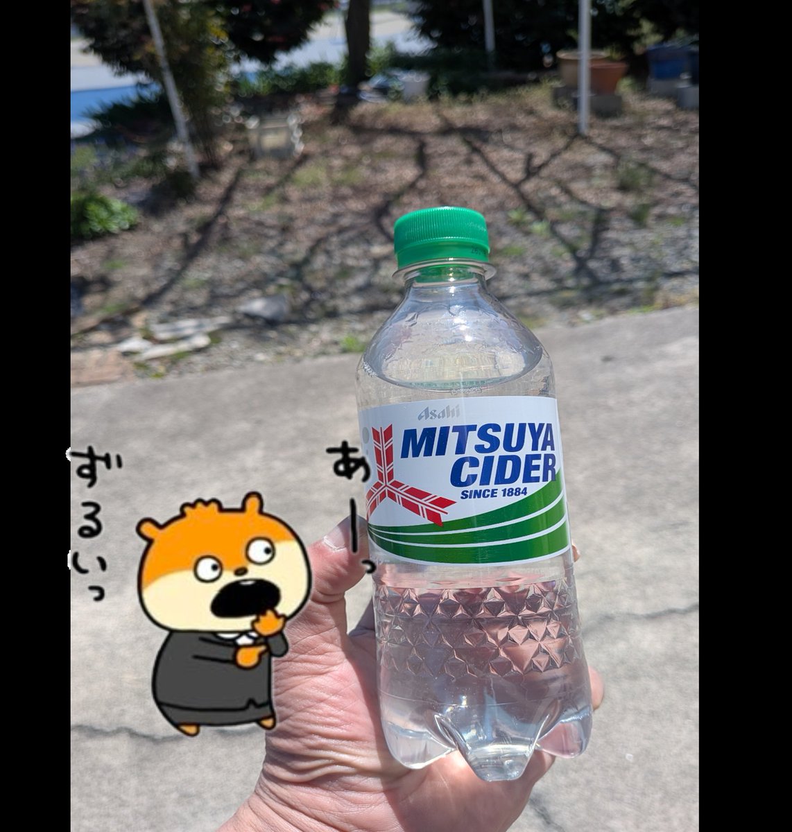 今日も日中は暑いね〰️🌞
甘い物を控えてたのに、ついつい反射的に買ってしまった😅