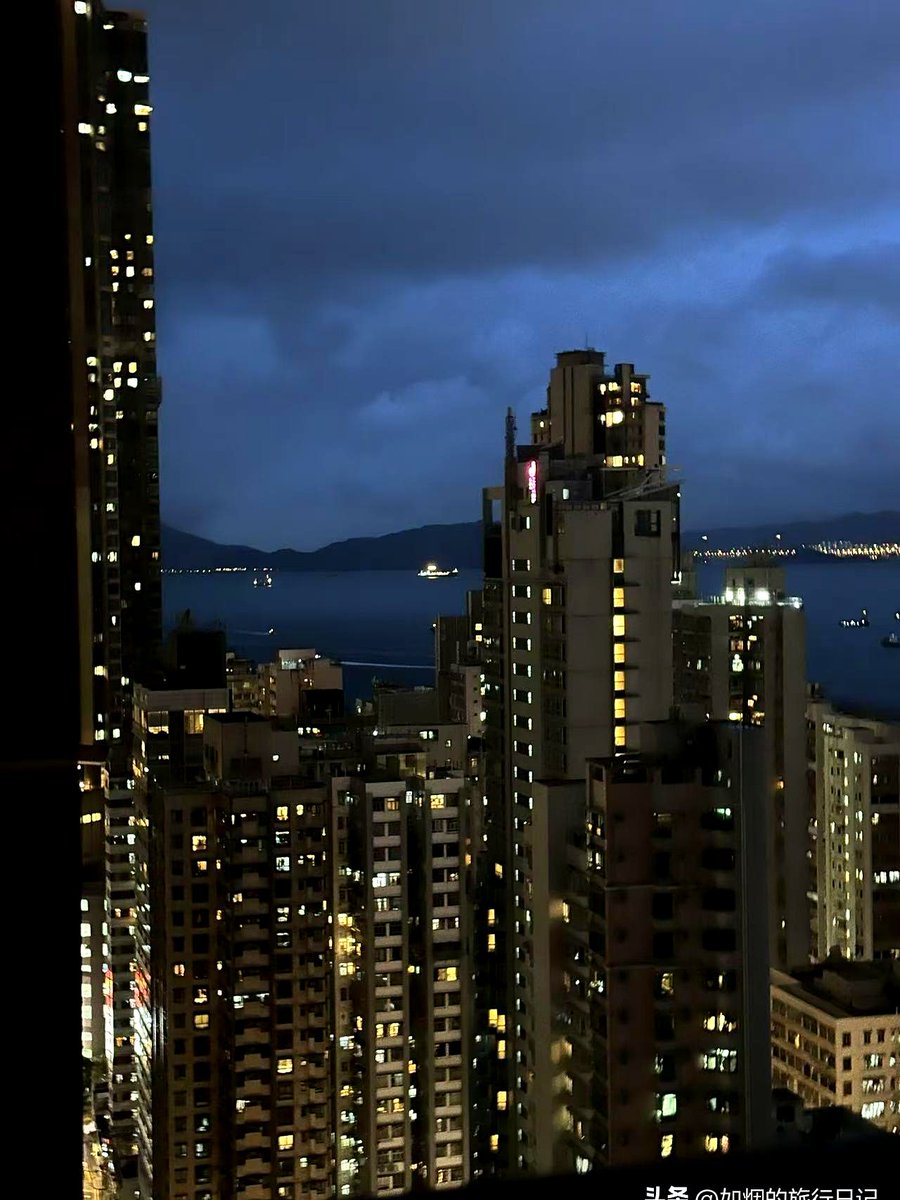 L Girimonte tweet media