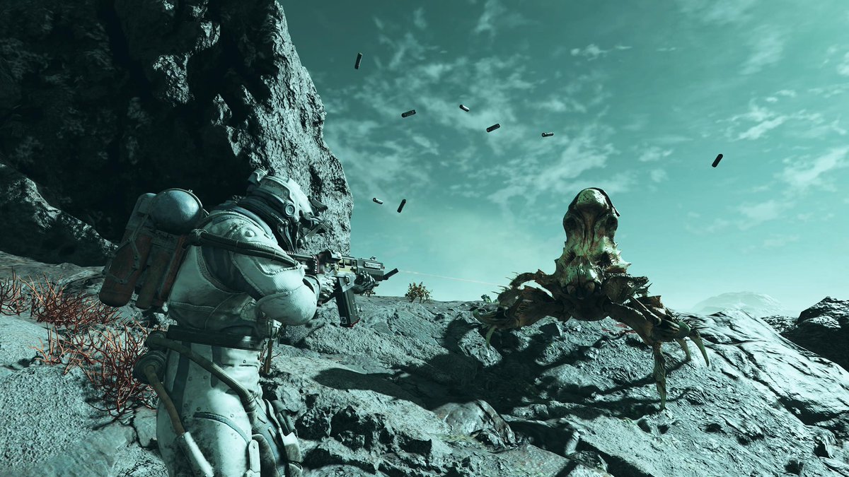 mcquack306 tweet media