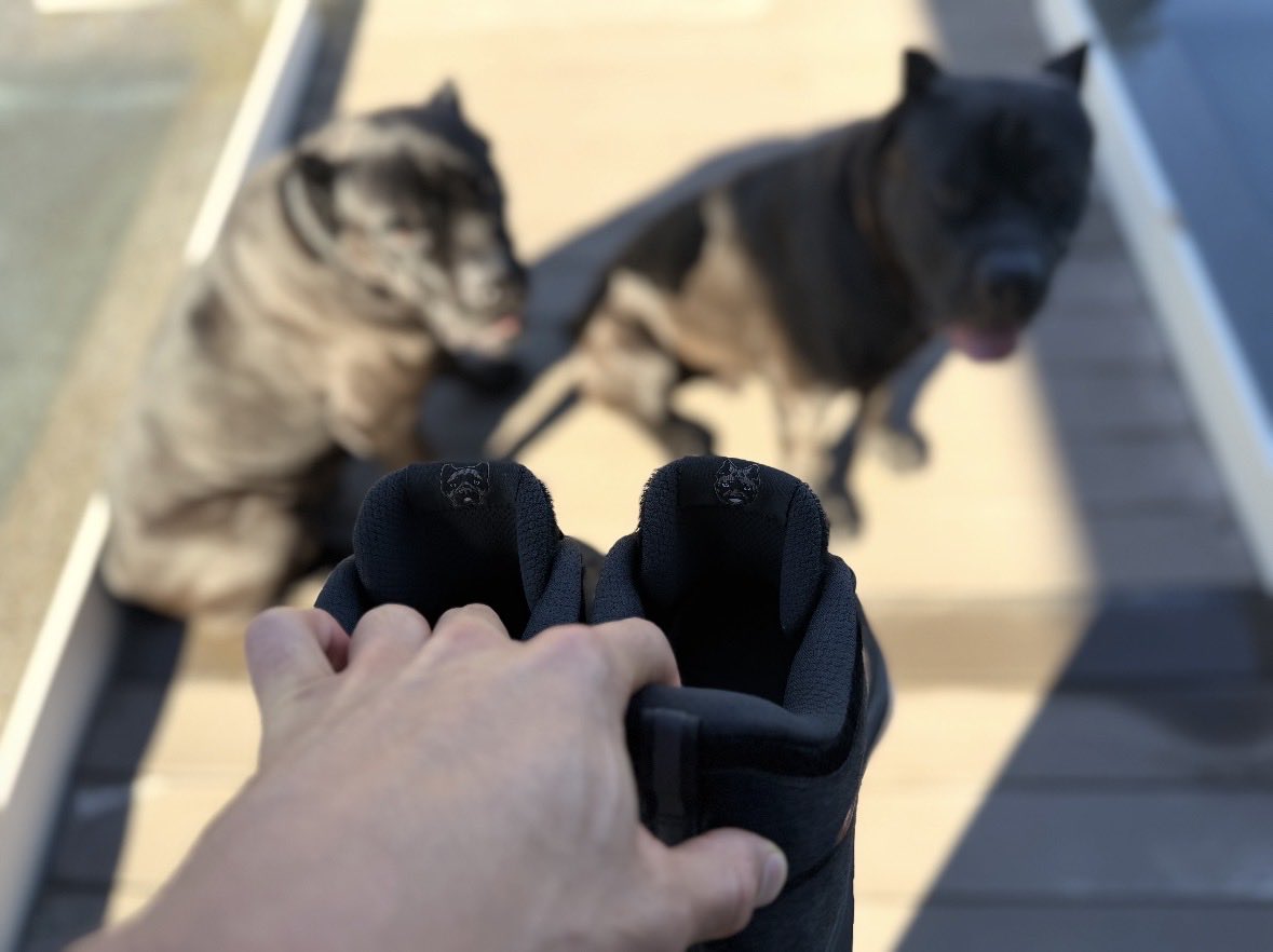 Dbookone tweet media