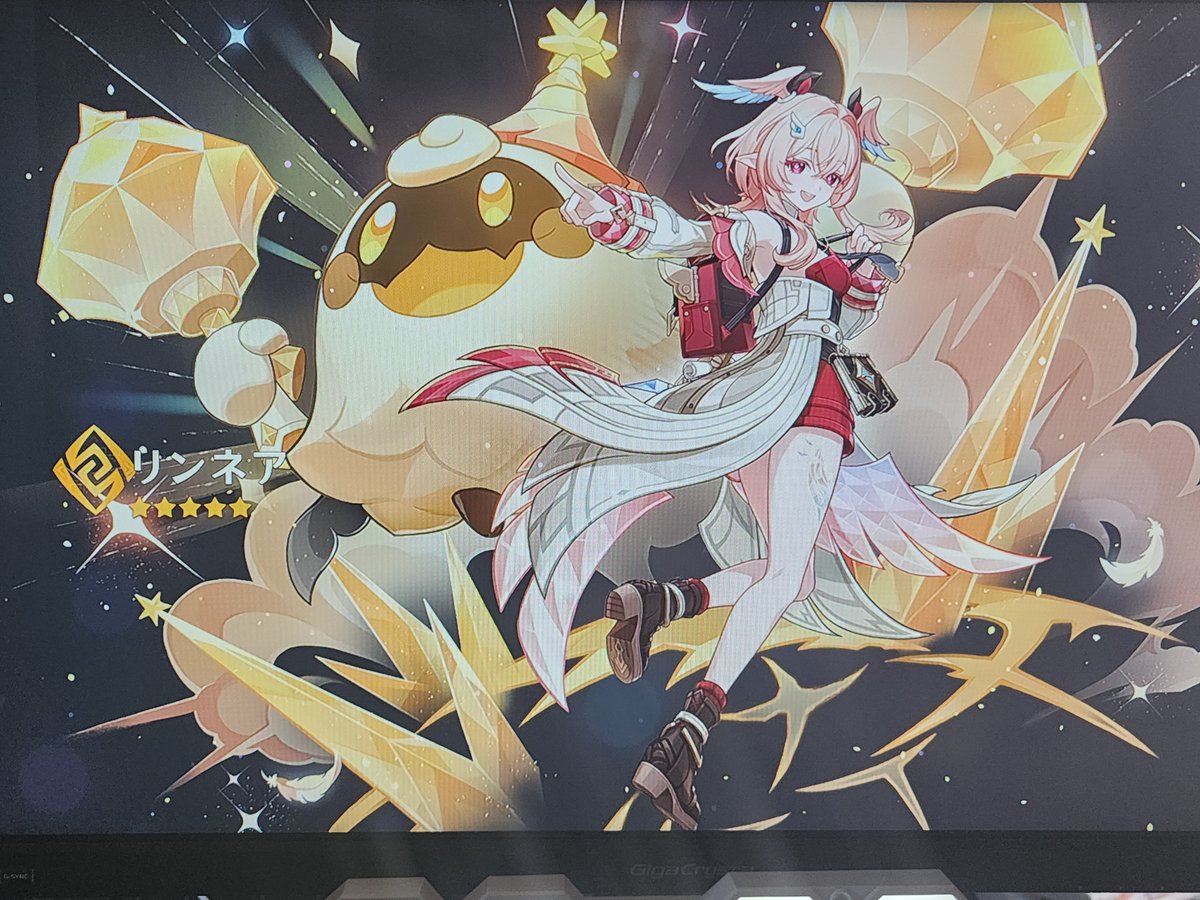 しょっち🐾💫 tweet media