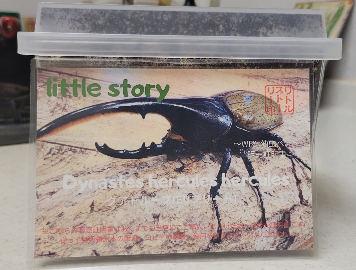 Wild-Village tweet media