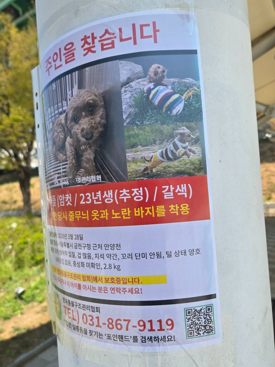 💛🇧 🇮 🇳💜 (빈이) tweet media