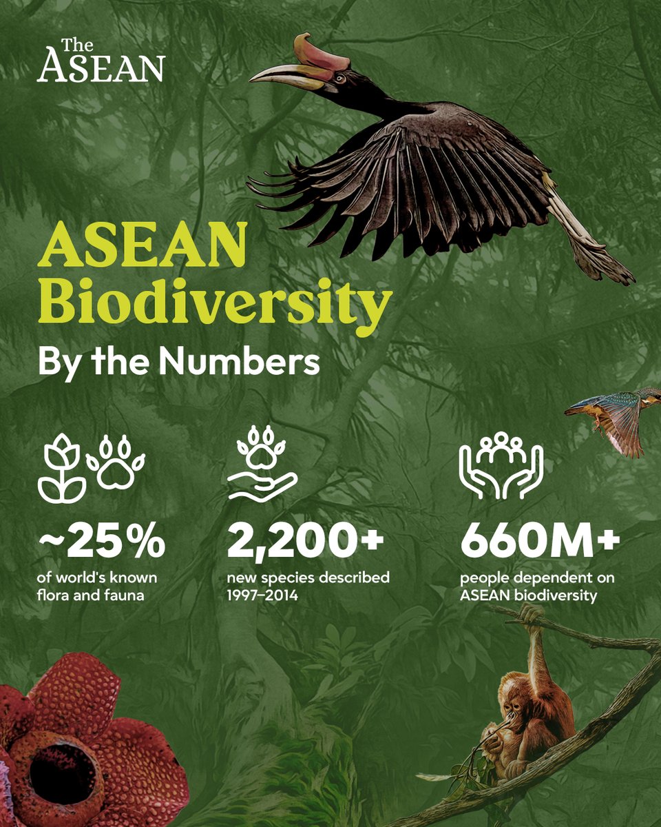 The ASEAN Magazine tweet media