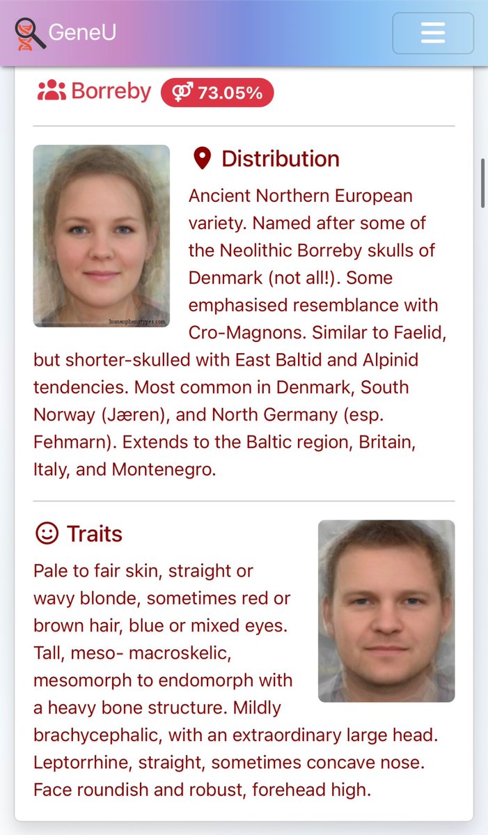 𝒮ℴ℘𝒽𝒾ℯ ᛉ ᛟ ᚨ | 🌲⌖ tweet media