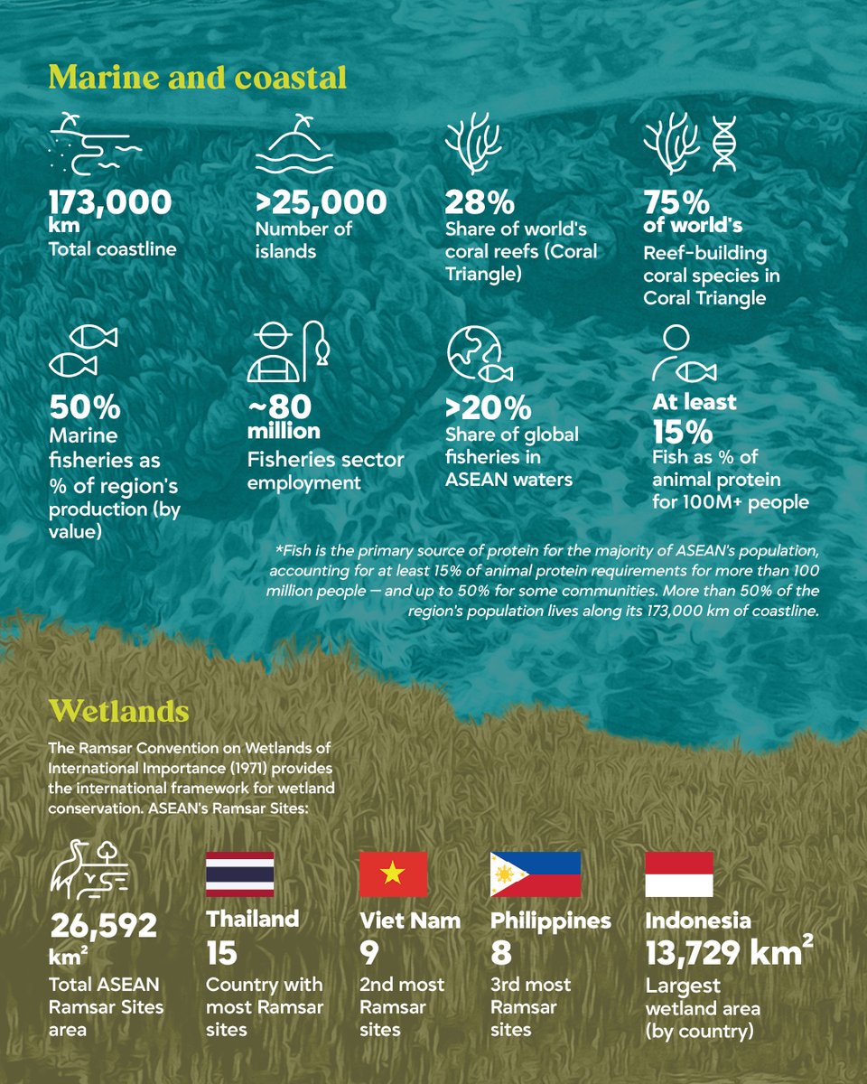 The ASEAN Magazine tweet media