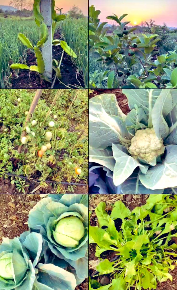 Sayali ✨💫 tweet media