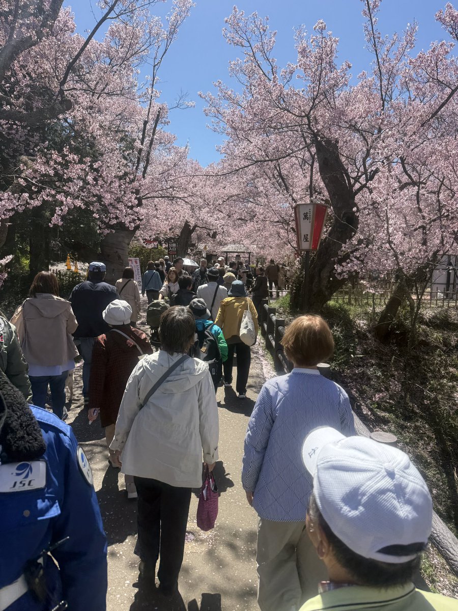 土地家屋調査士平泉規の日常 tweet media